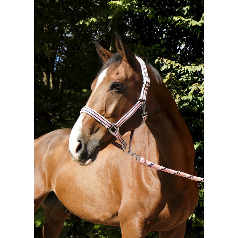 EQUITHÈME "Ligne" Halfter