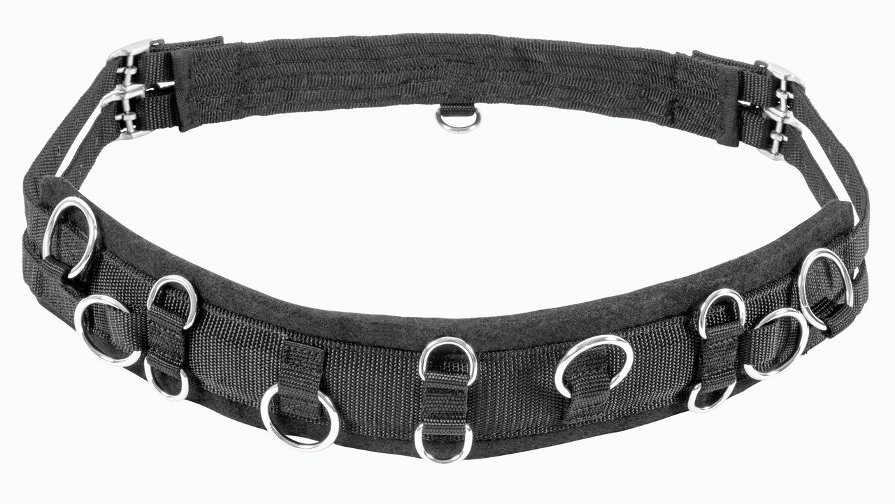 USG Mini-Shetty Longiergurt, schwarz