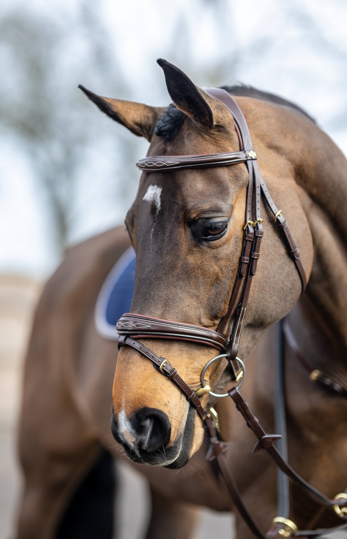 LeMieux Kudos Competition Flash Bridle, Turniertrense, Trense
