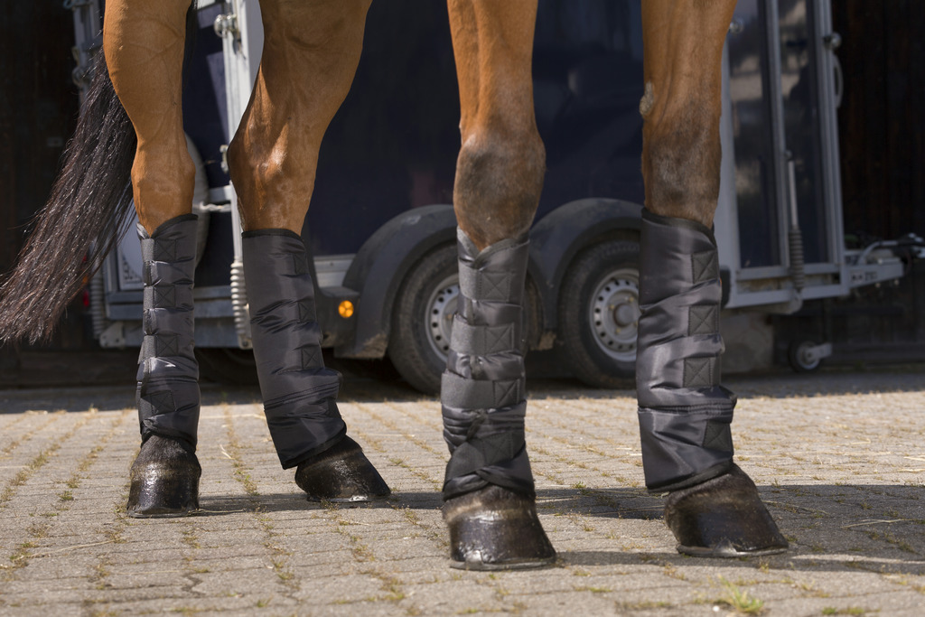 Riding World Niedrige Transportgamaschen, Warmblut