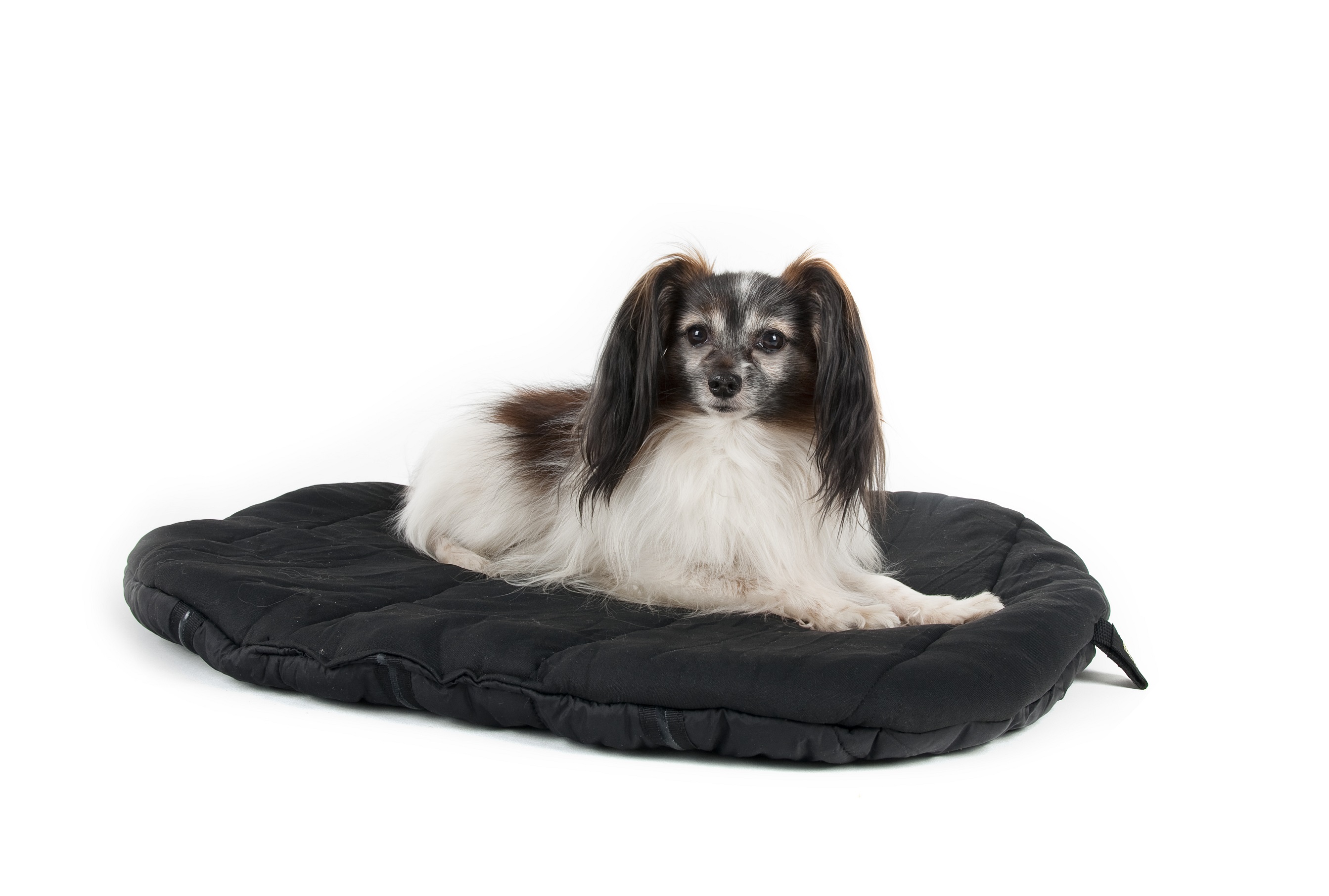 Dieses ovale Hundebett von Back on Track kann auf jede Reise mitgenommen und benutzt werden. Die Gummiapplikationen auf der Unterseite verhindern ein Verrutschen auf glatten Untergründen. Durch das Welltex® Gewebe wird die Blutzirkulation stimuliert und e