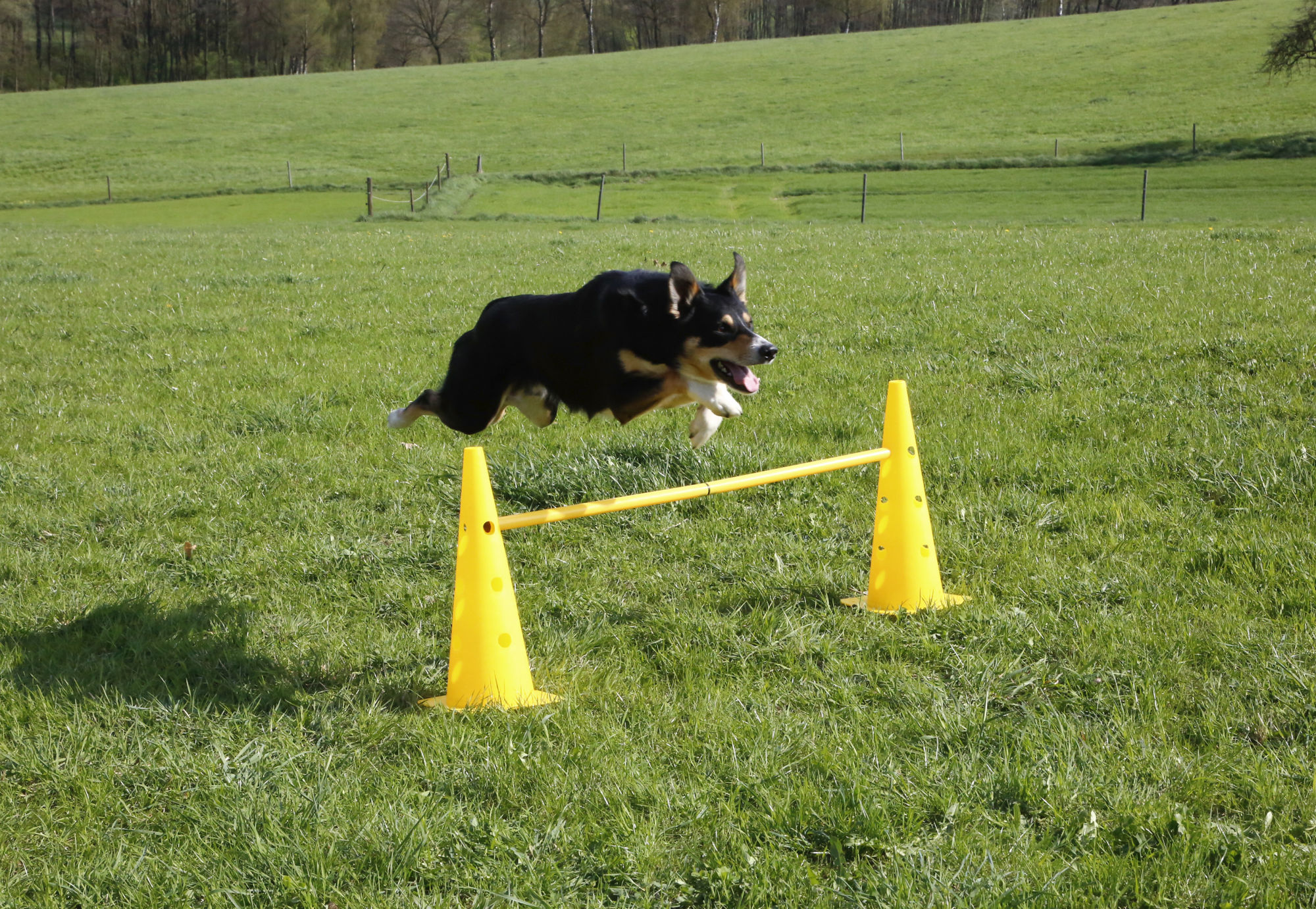 Kerbl Komplett-Set "Agility", rot/gelb