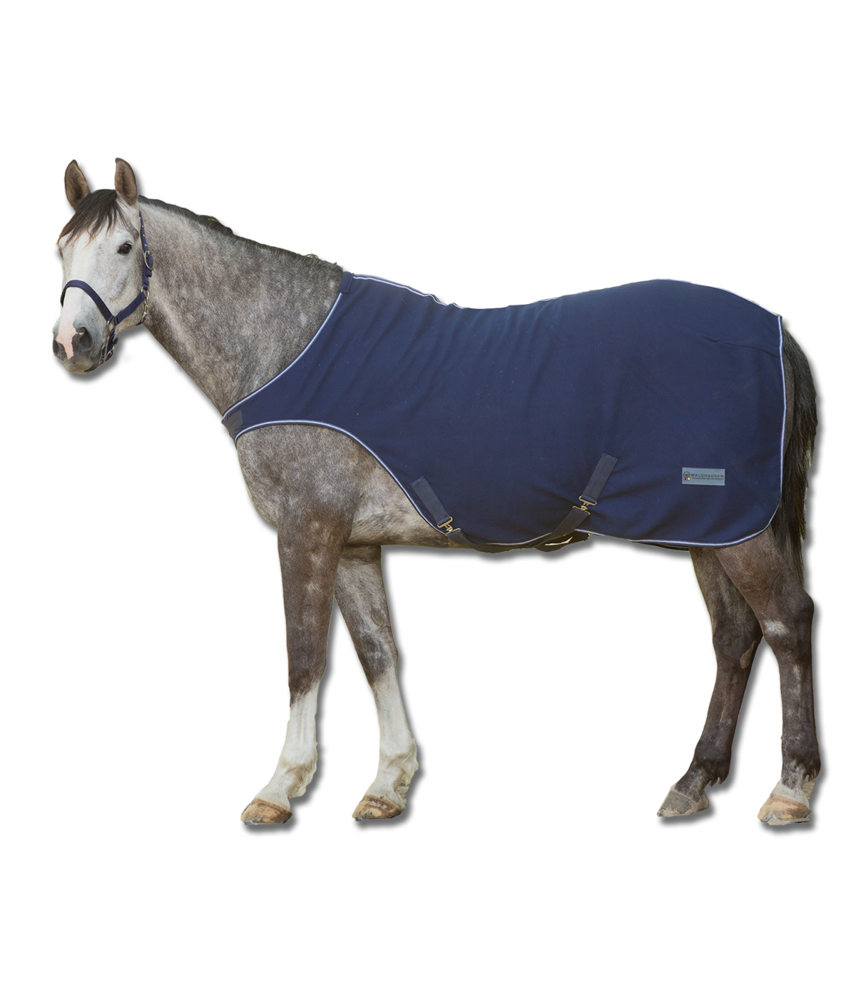 Waldhausen Fleece-Führmaschinendecke "Economic"