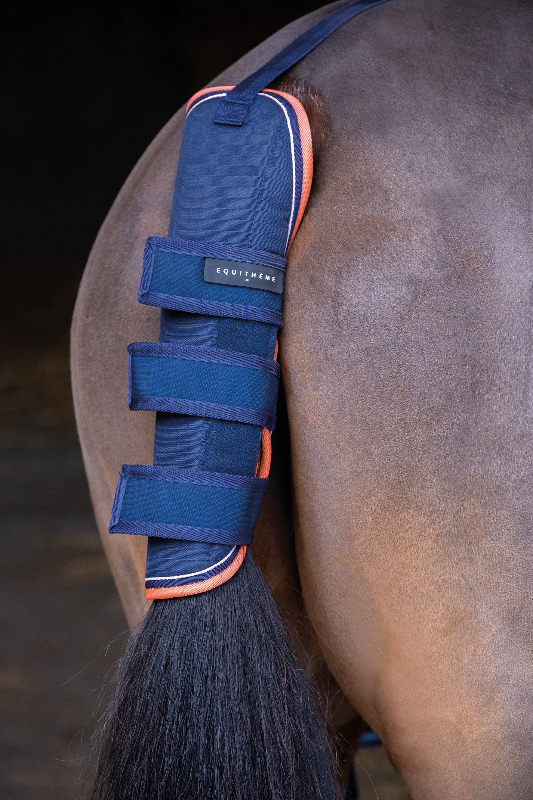 EQUITHÈME "TYREX 600D" Schweifschoner, marineblau/orange, Warmblut