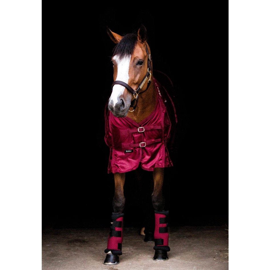 Back on Track Stallgamachen "Royal"