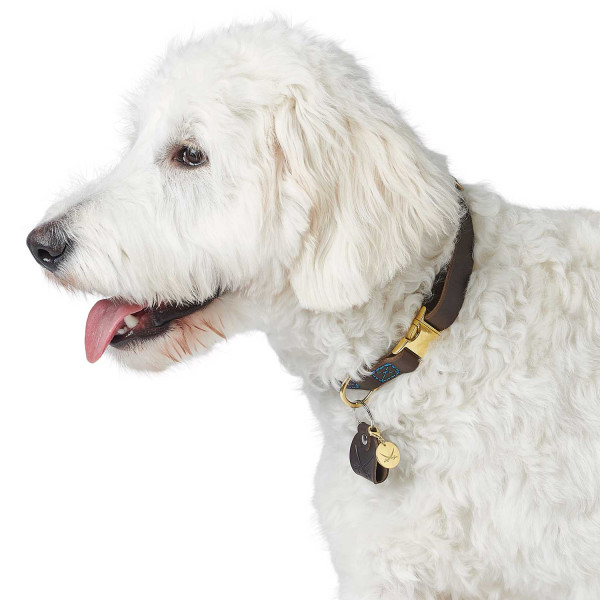 Hunter Halsband Sansibar