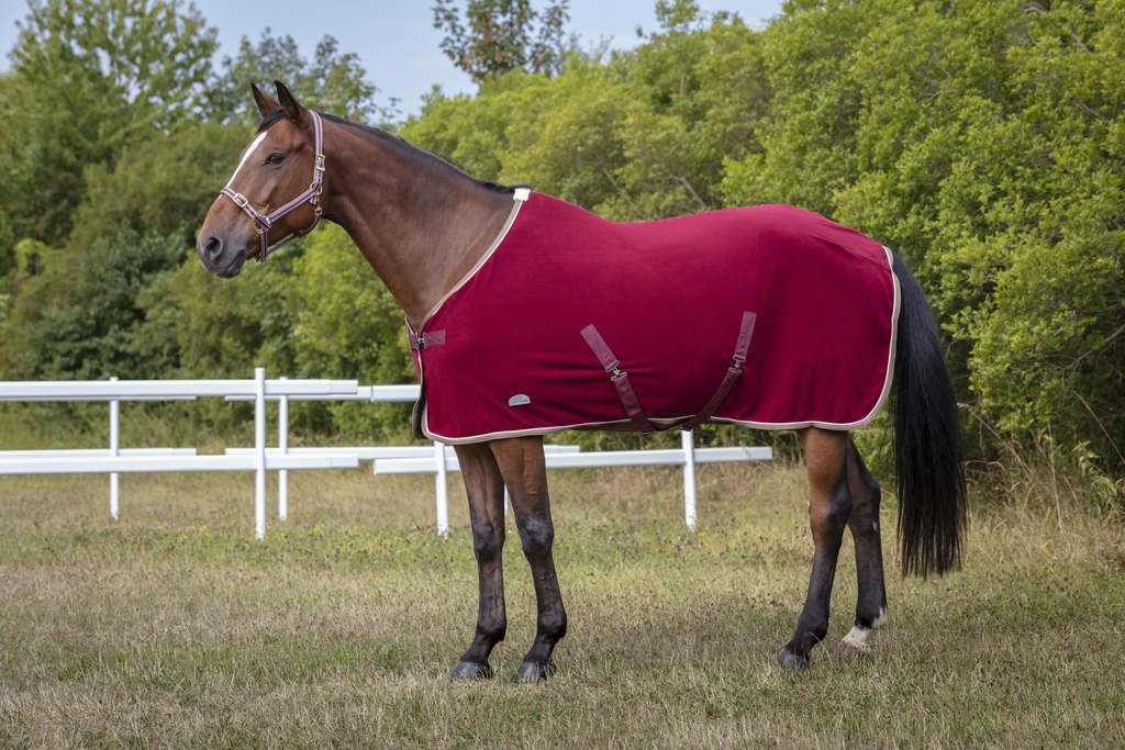EQUITHÈME "Polyfun", Polarfleece, vielseitige Decke, Abschwitzdecke