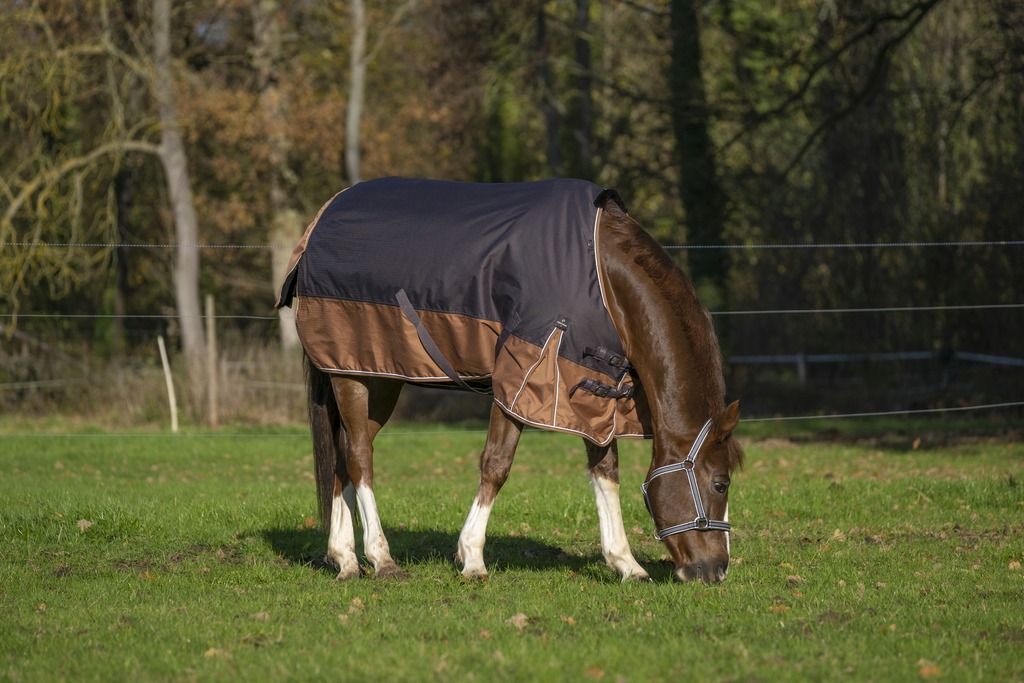 EQUITHÈME TYREX 600D "Aisance" Decke, 300g Füllung, Pferdedecke, grau/braun, Weidedecke