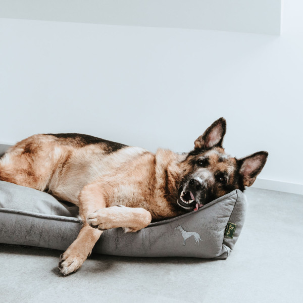 Hunter Orthopädisches Hundesofa Merida