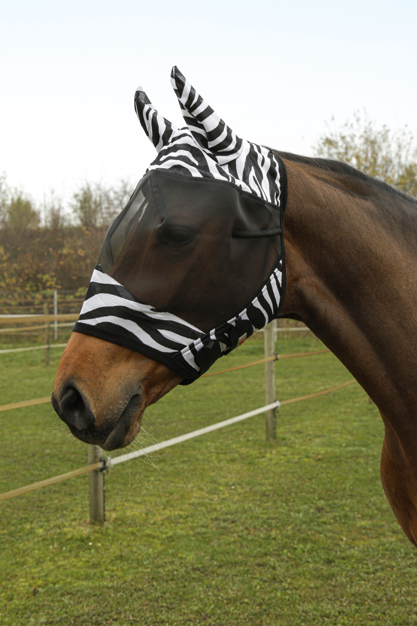 Covalliero Fliegenschutzmaske "Zebra", inkl. Ohrenschutz, weiß/schwarz