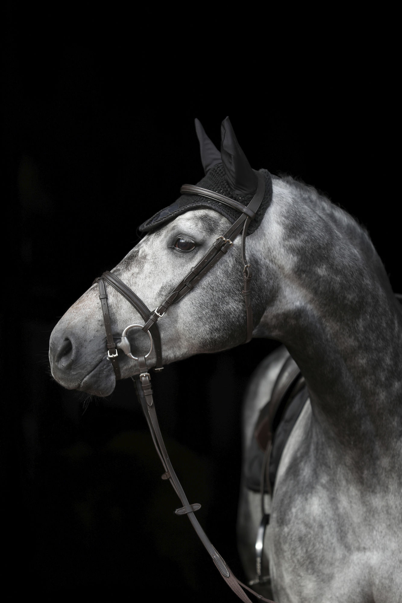 Covalliero Fliegenhaube Empara, Cob/Full