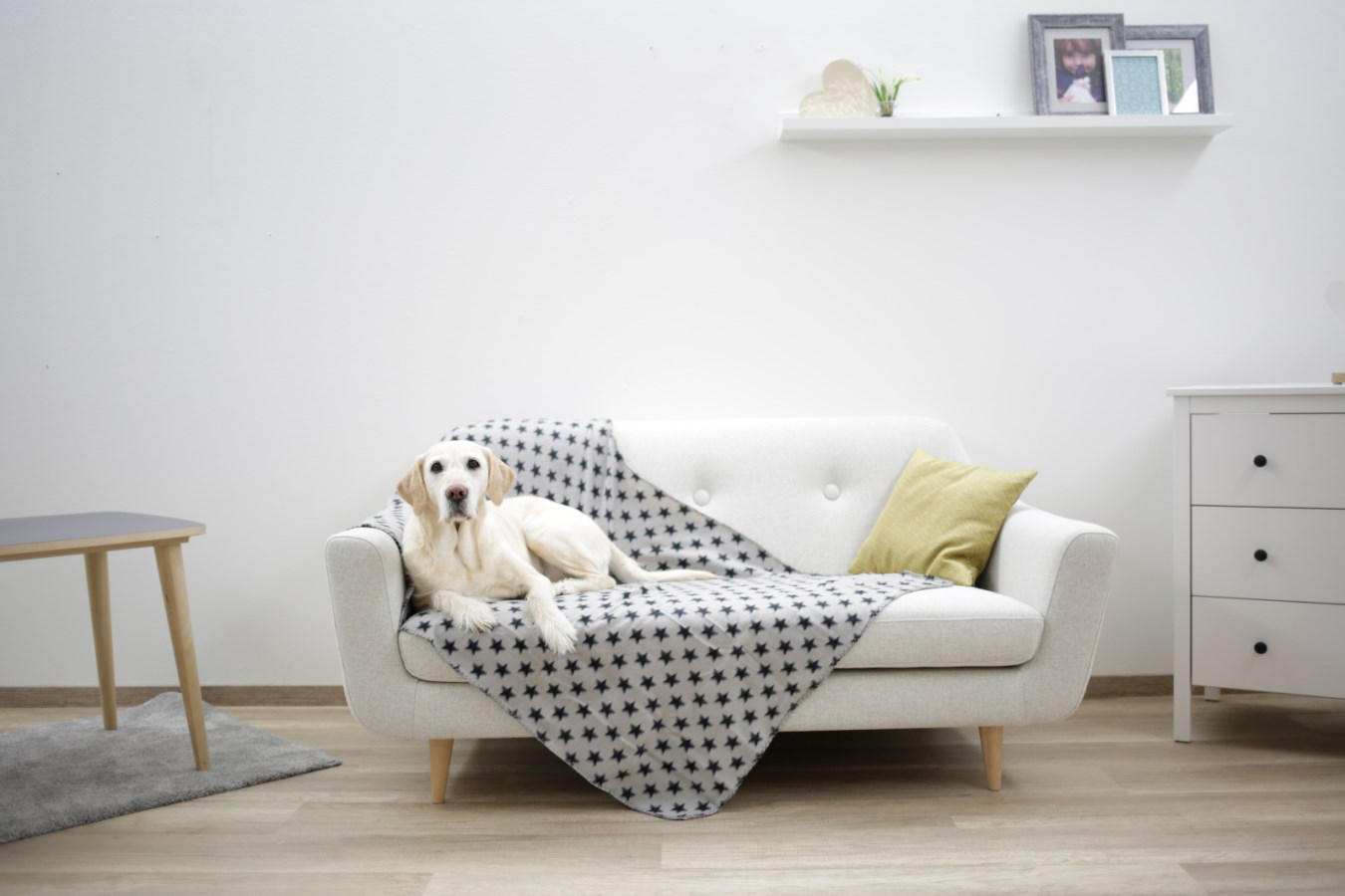 Kerbl Hundedecke "Stella",mit Sternenmotiv, grau