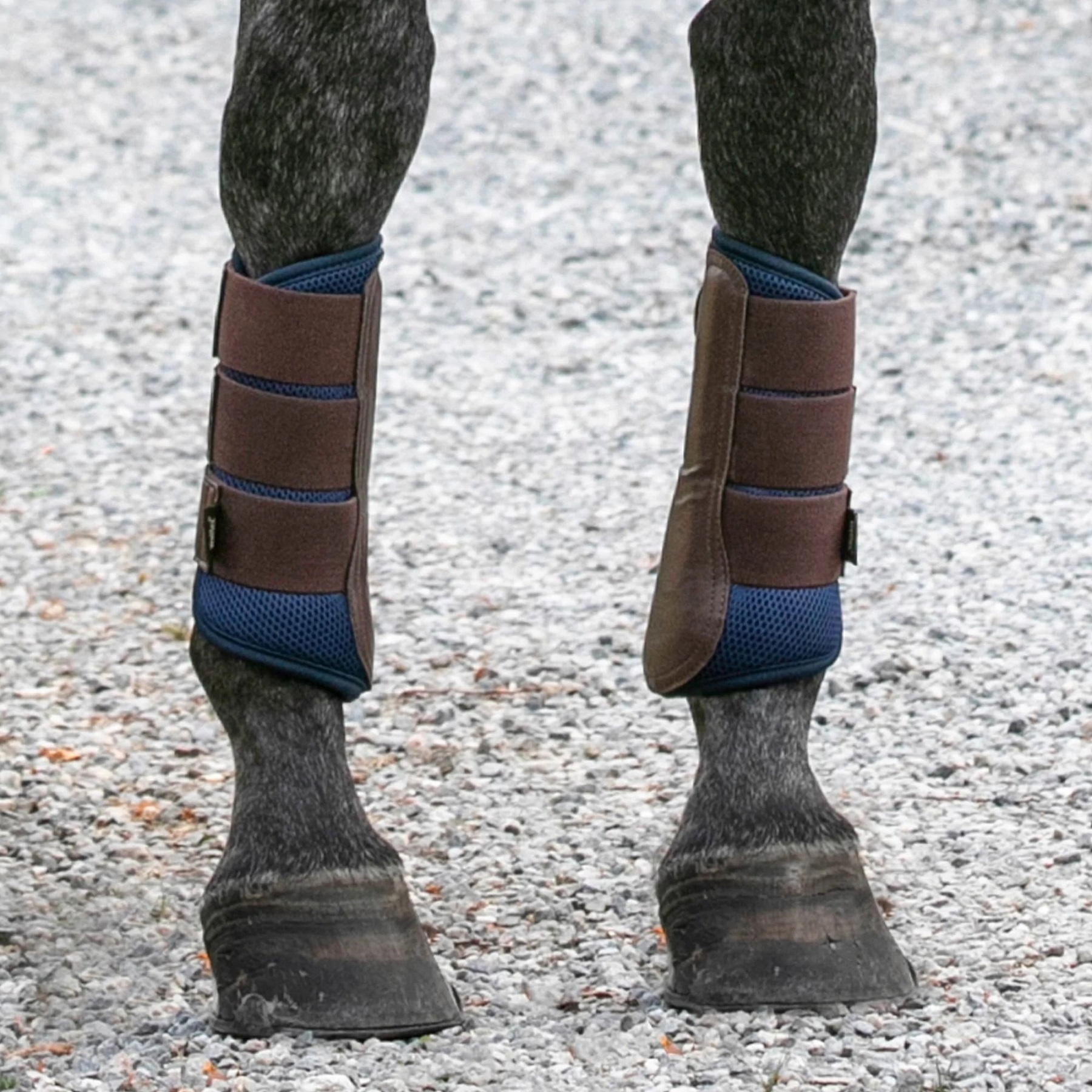 Back on Track Airflow Brush Boots, Gamaschen, blau