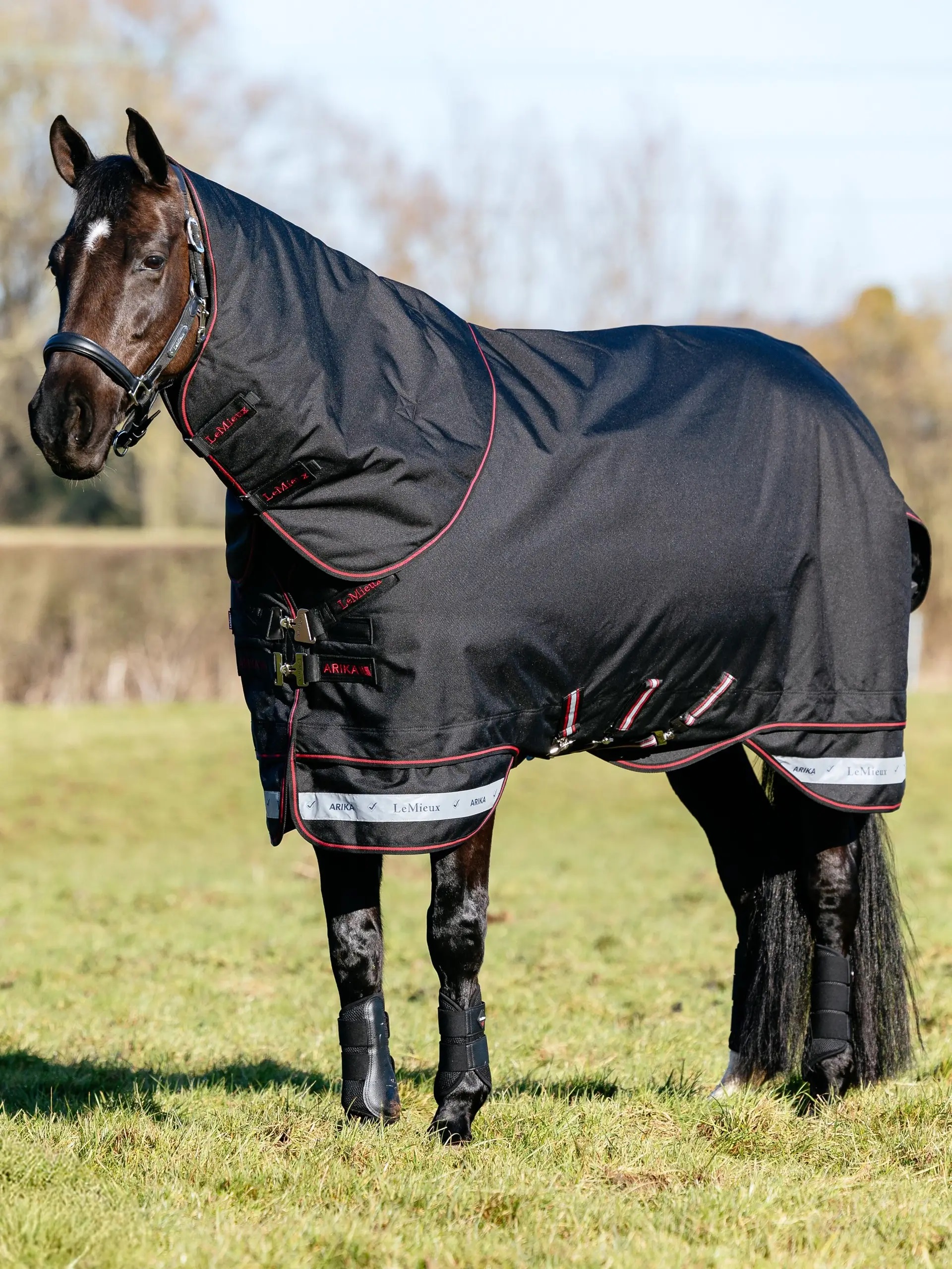LeMieux Arika Storm-Tek Decke 50 g Füllung ,Schwarz,Gr.168cm,Sale