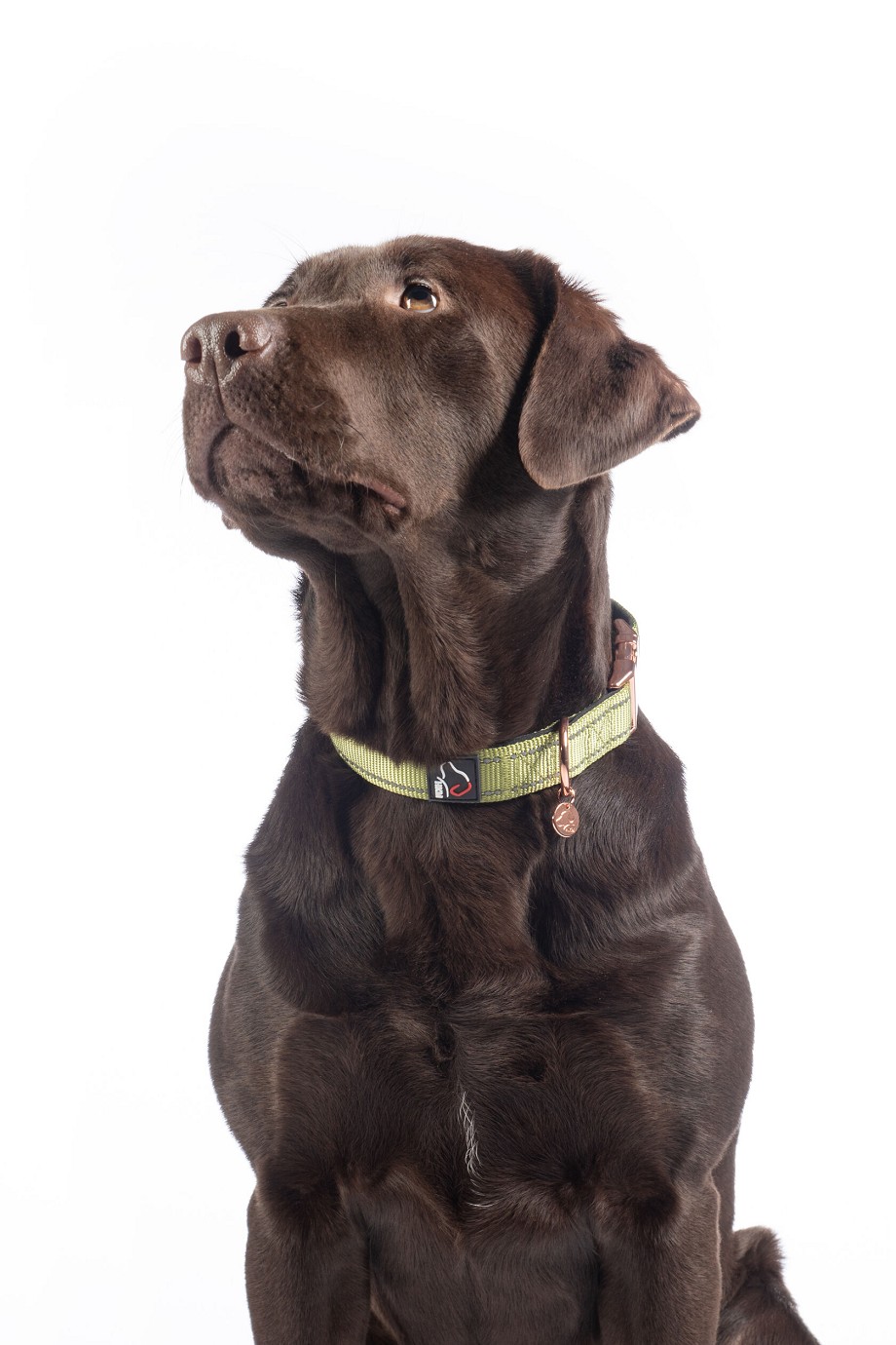HKM Hundehalsband "Ida" Nylon,pistazie, S/M,Sale