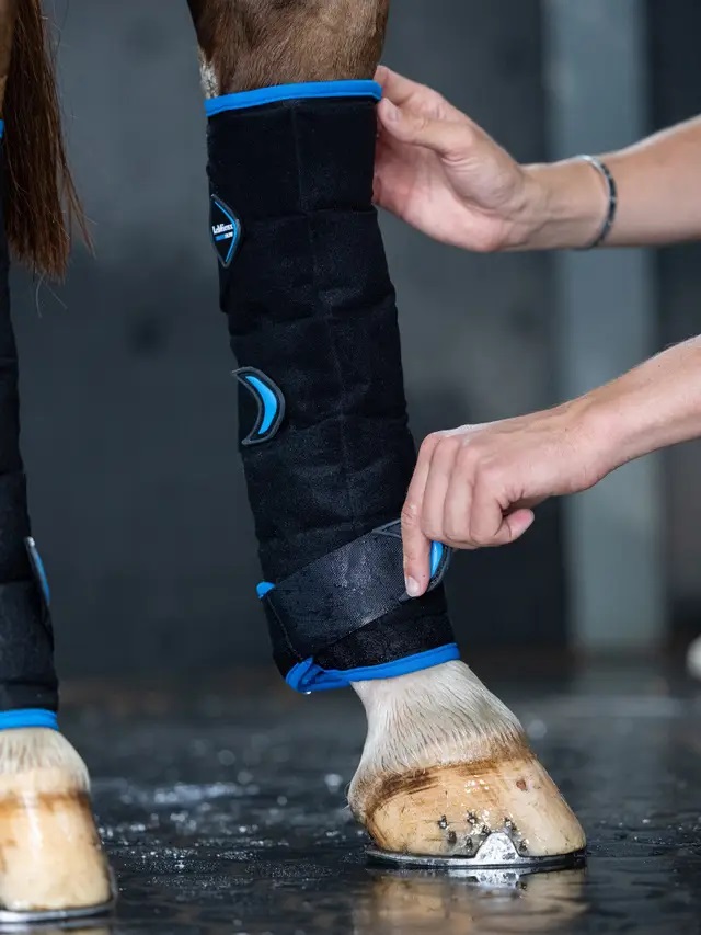 LeMieux Freeze Flow Ice Boot, Hind, Kühlgamaschen, schwarz