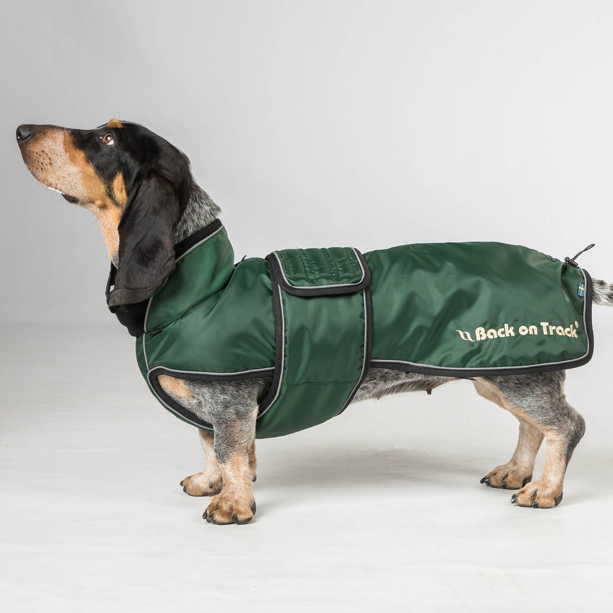 Back on Track Buddy Hundemantel