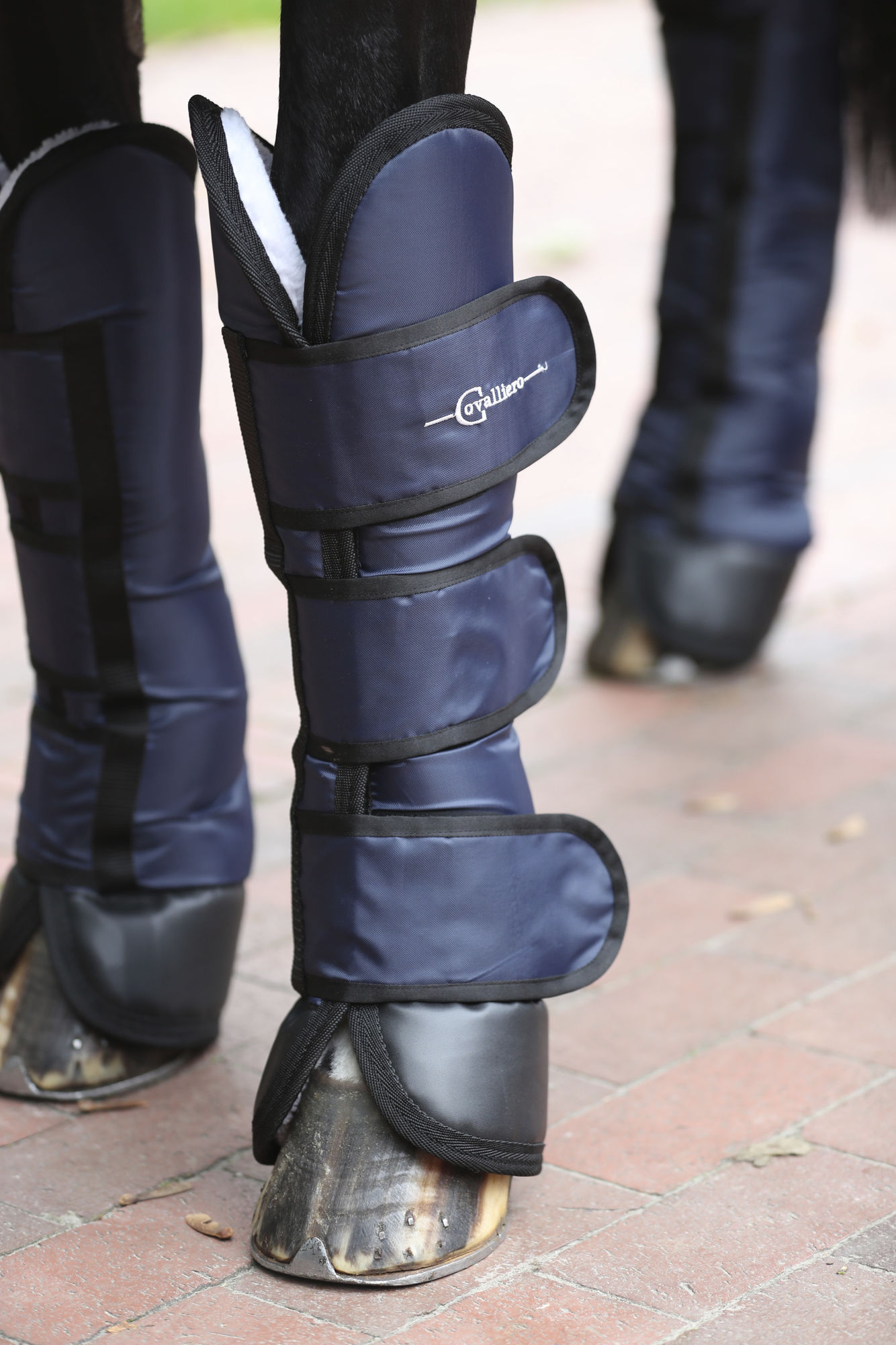 Covalliero Transportgamaschen Dexter, 4er-Set, dunkelblau