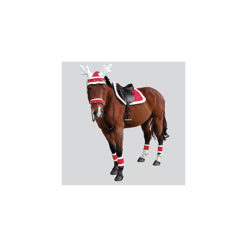 EQUITHEME Weihnachtsset, 4er-Set, rot/weiß