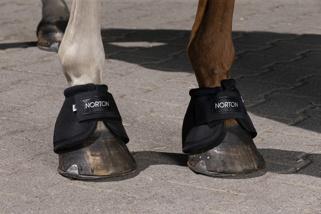 NORTON "1680D Kevlar®" Glocken, schwarz