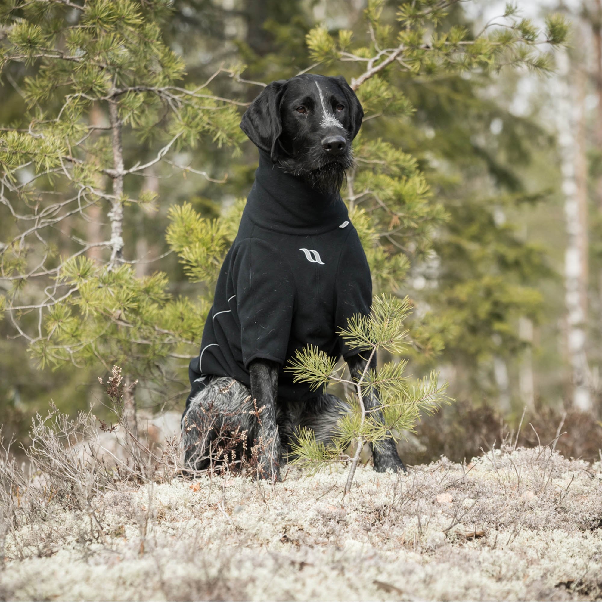 Back on Track Allwetter Hundepullover Cassie, schwarz, Fleece