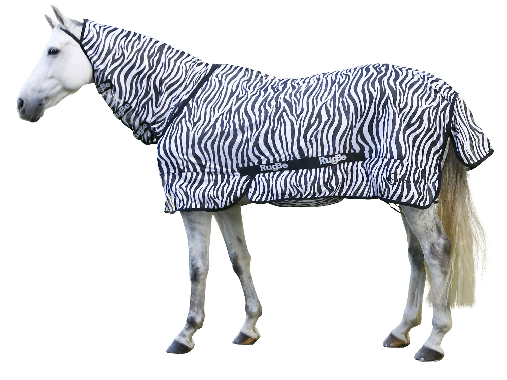 Covalliero Fliegendecke Zebra, weiß/schwarz, inkl. Halsteil