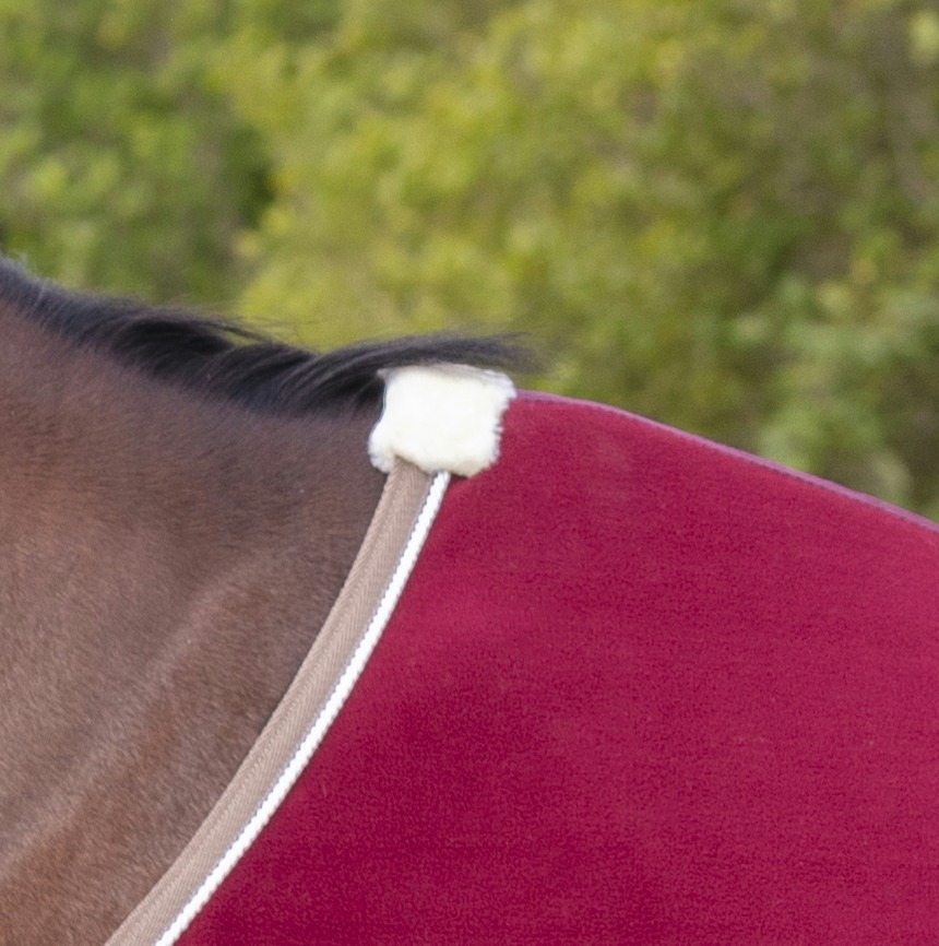EQUITHÈME "Polyfun", Polarfleece, vielseitige Decke, Abschwitzdecke