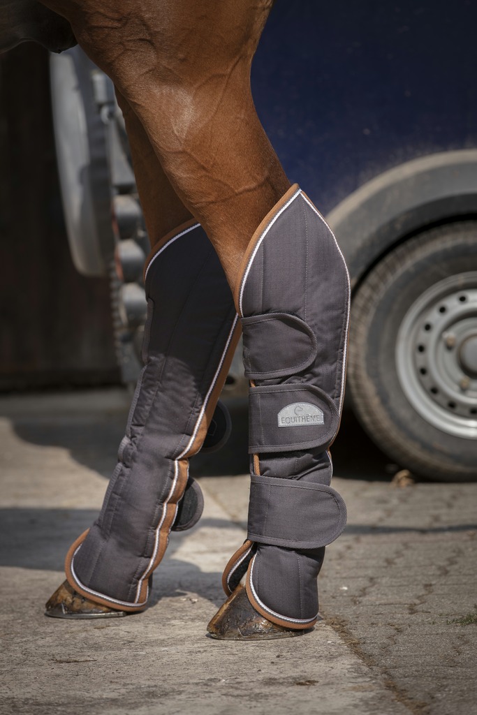 EQUITHÈME "TYREX 600D" Transportgamaschen, grau/braun