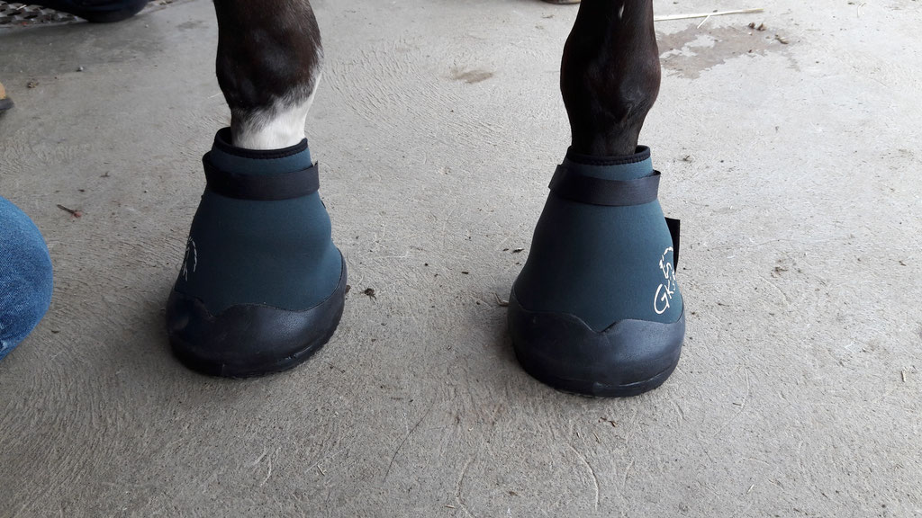 Wohlfühl-und Genesungs-Hufschuh, 1 Paar
