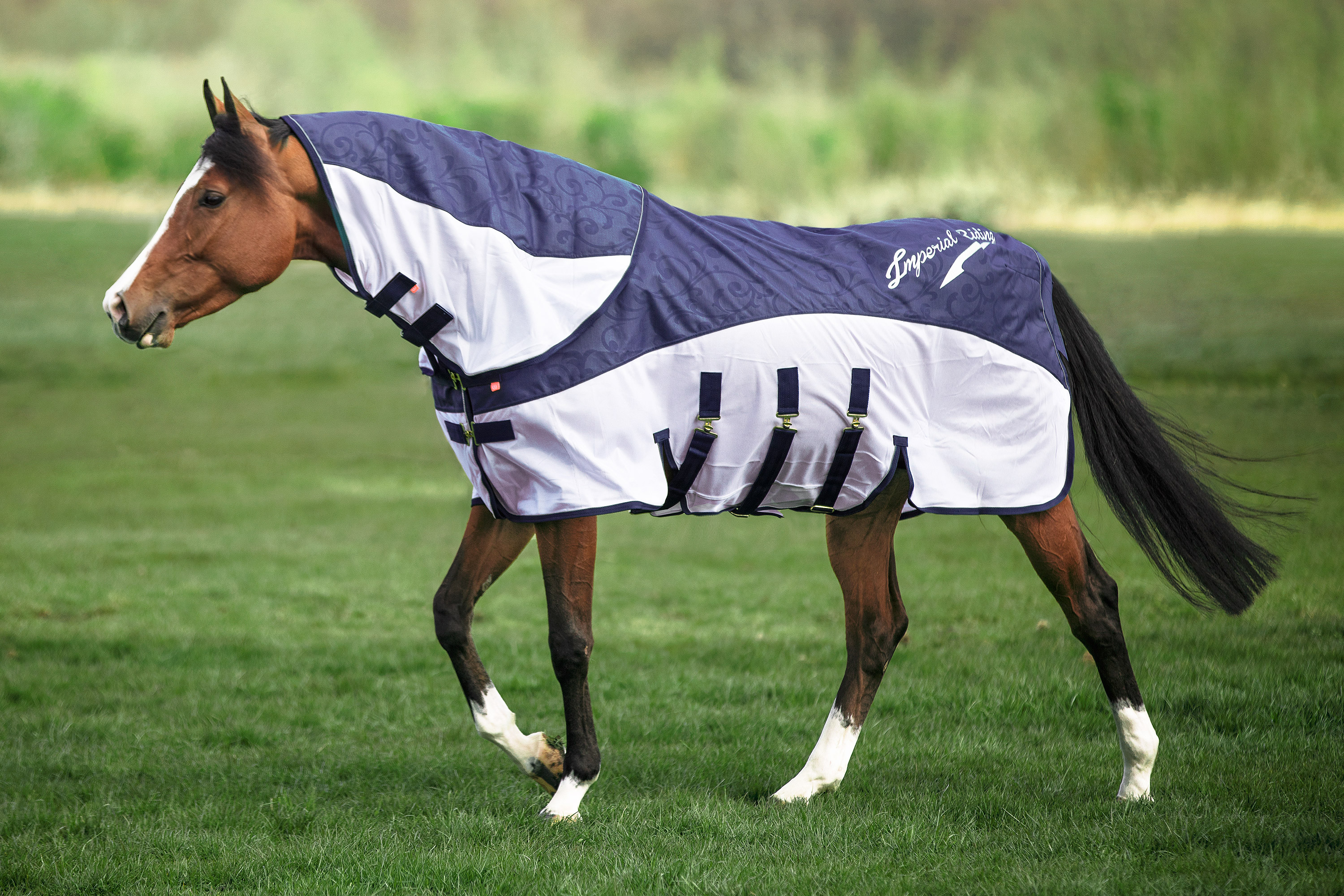 Imperial Riding Outdoordecke IRHSuper-dry 600D navy Regendecke