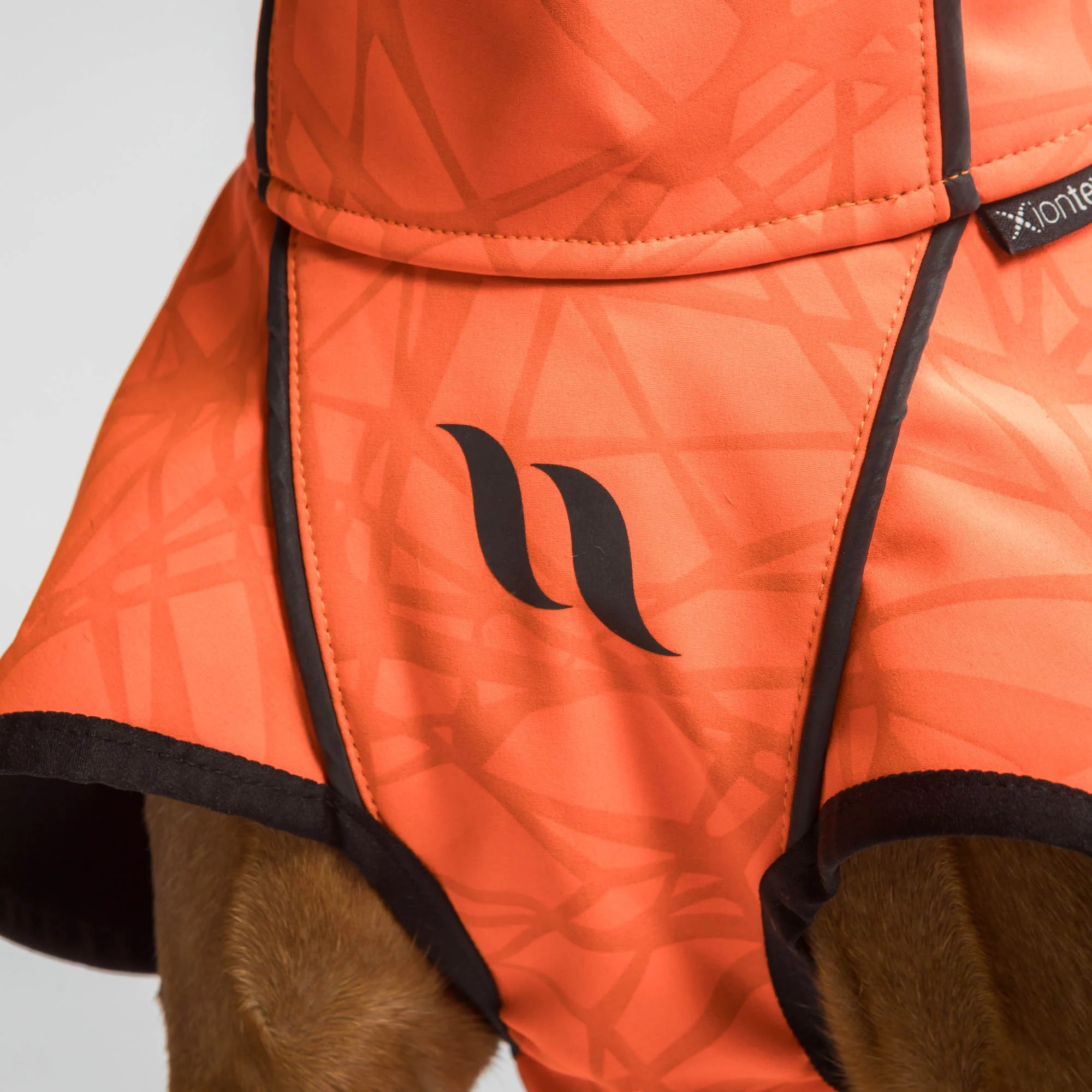 Back on Track Hundemantel Bark, orange, Allwetter Mantel