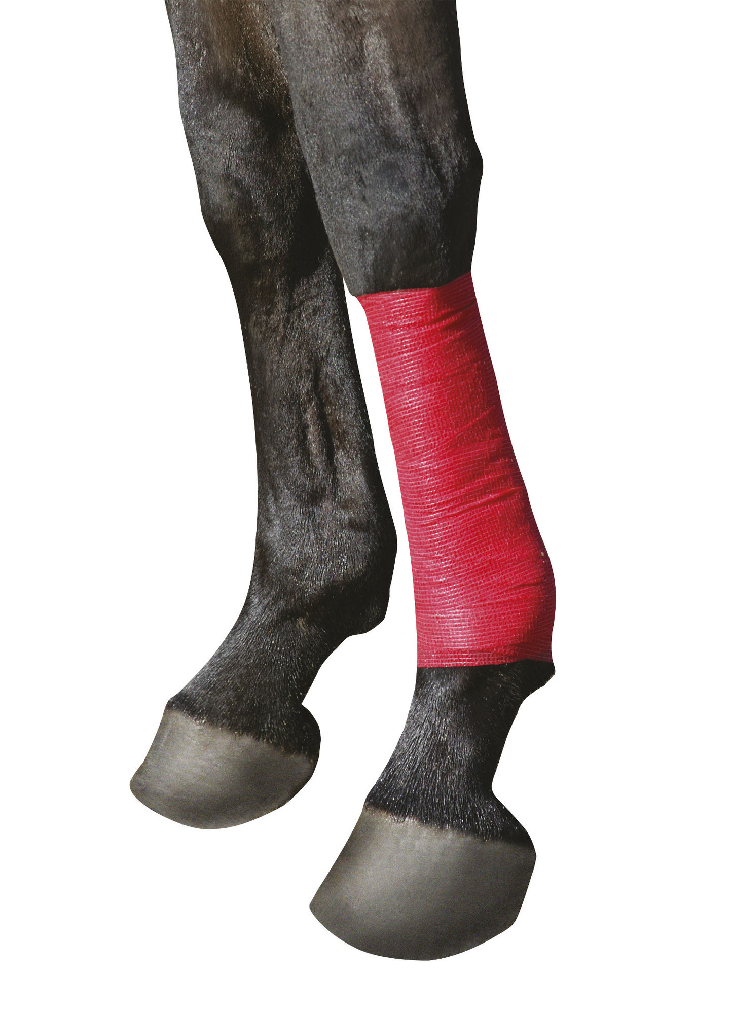 EquiLastic Selbsthaftende Bandagen
