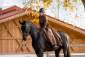 Covalliero Thermo-Reitrock