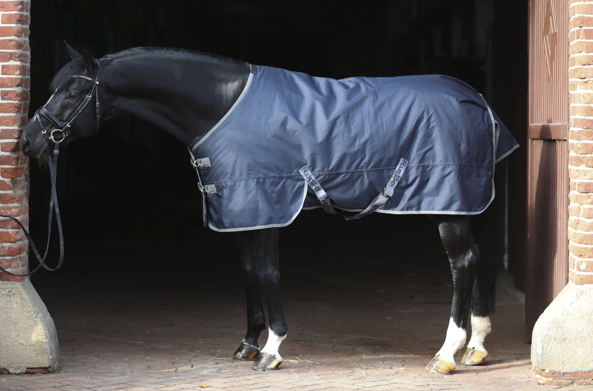 Covalliero Winterdecke RugBe IceProtect, 300g Füllung, navy/grau