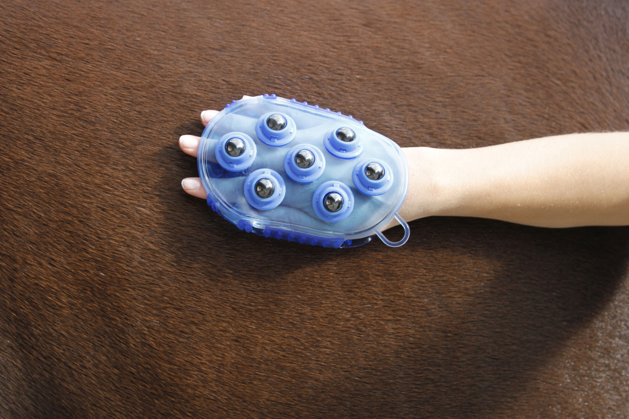Covalliero Magnet-Massagestriegel