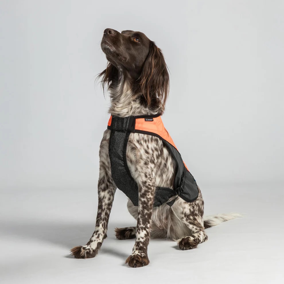 Hunde-Brustschutzweste TRAKK