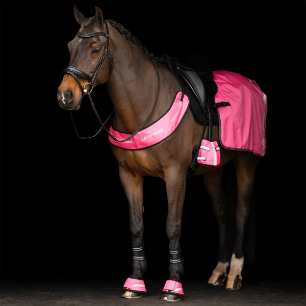 Imperial Riding Hufglocken IRHReflective