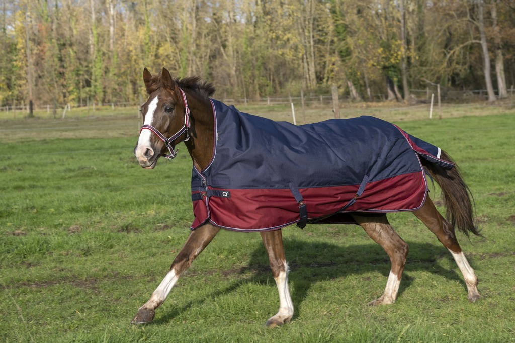 EQUITHÈME "TYREX 1200D" High-Neck Decke, 300g Füllung, marineblau/bordeaux, Weidedecke, Pferdedecke
