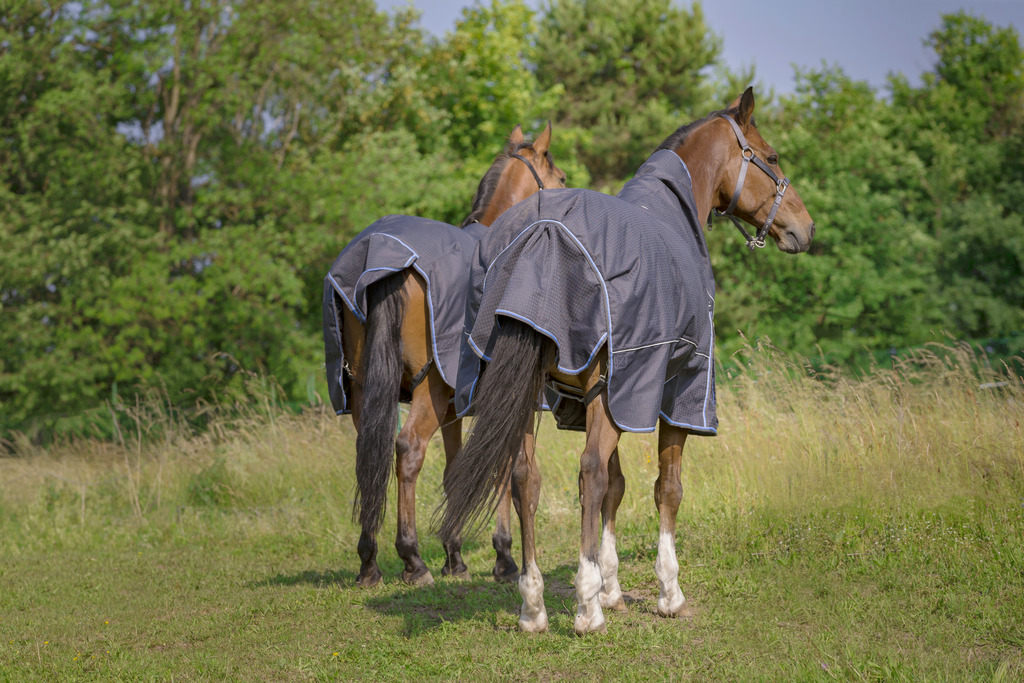 EQUITHÈME "TYREX 1200D" 8000/8000 Decke, 300g Füllung, Pferdedecke, grau/blau, Weidedecke