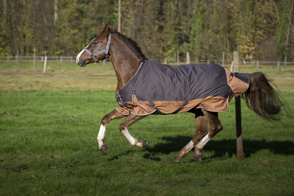 EQUITHÈME TYREX 600D "Aisance" Decke, 300g Füllung, Pferdedecke, grau/braun, Weidedecke