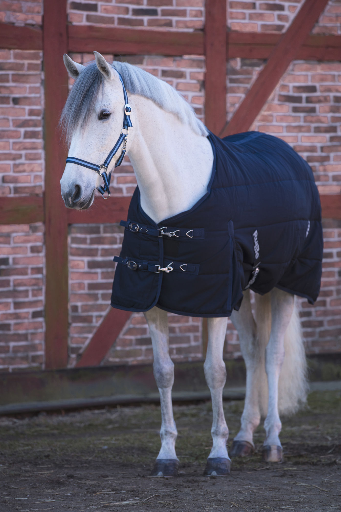 Covalliero Stalldecke RugBe, blau