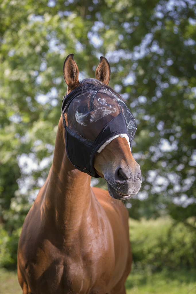 EQUITHÈME "Polaire" Antifliegenmaske, schwarz