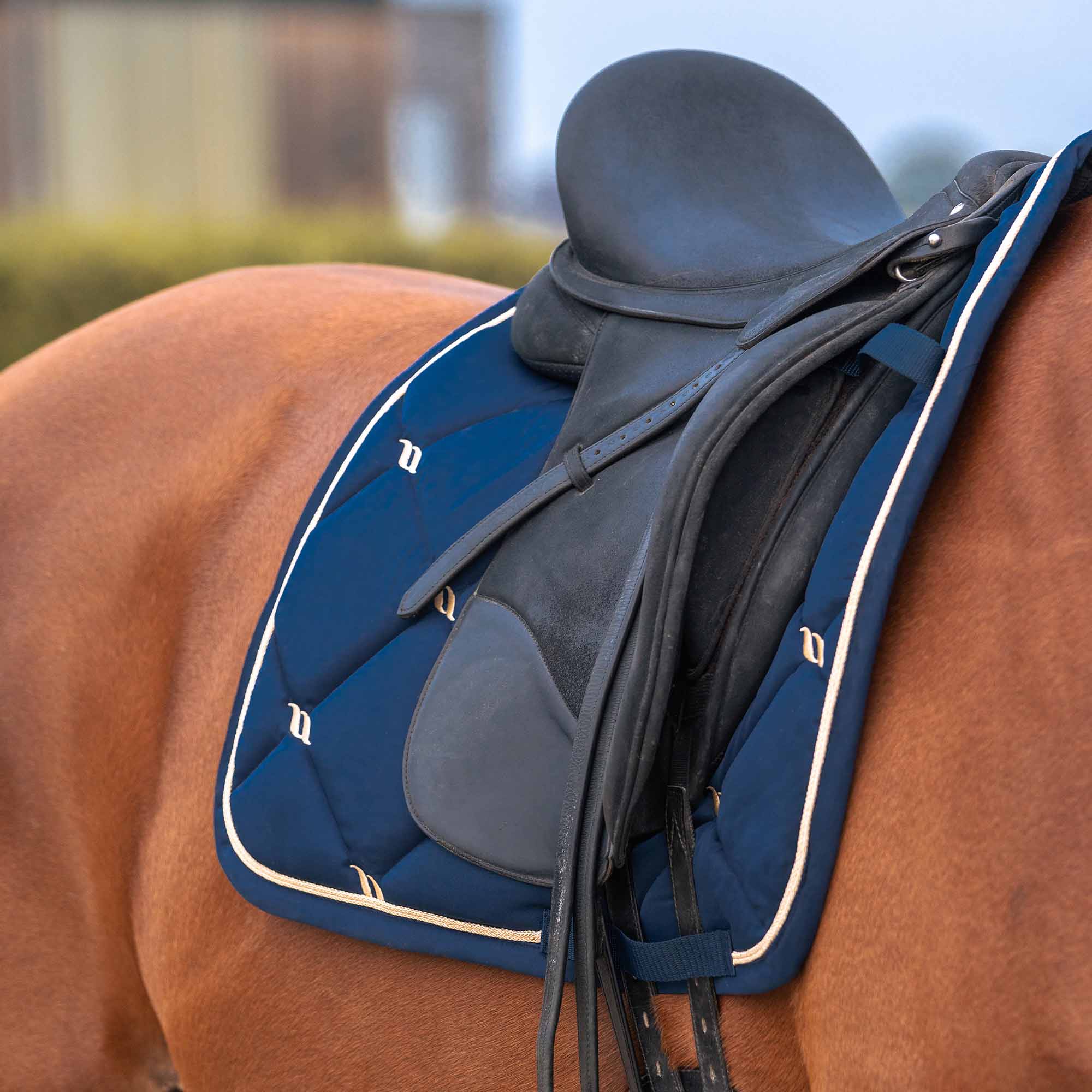 Back on Track Nights Collection Schabracke Springen, Noble Blue