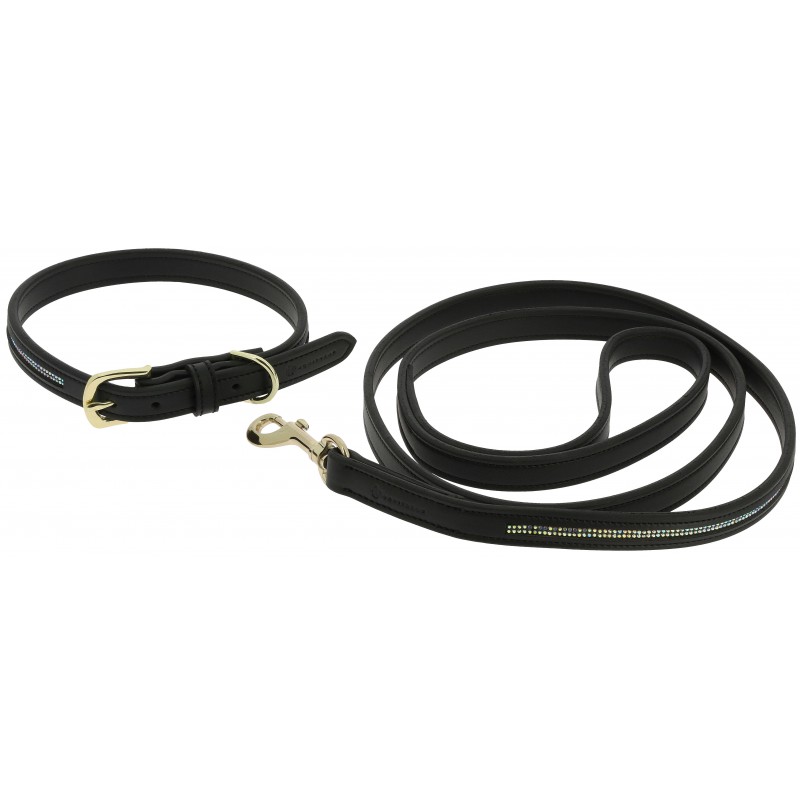 EQUITHÈME Hundehalsband und Leine "Max"