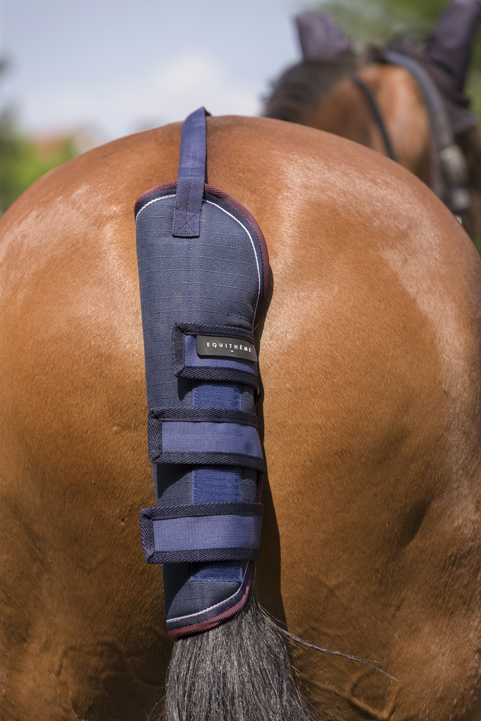 EQUITHÈME "TYREX 1200D" Schweifschoner, marineblau/bordeaux, Warmblut