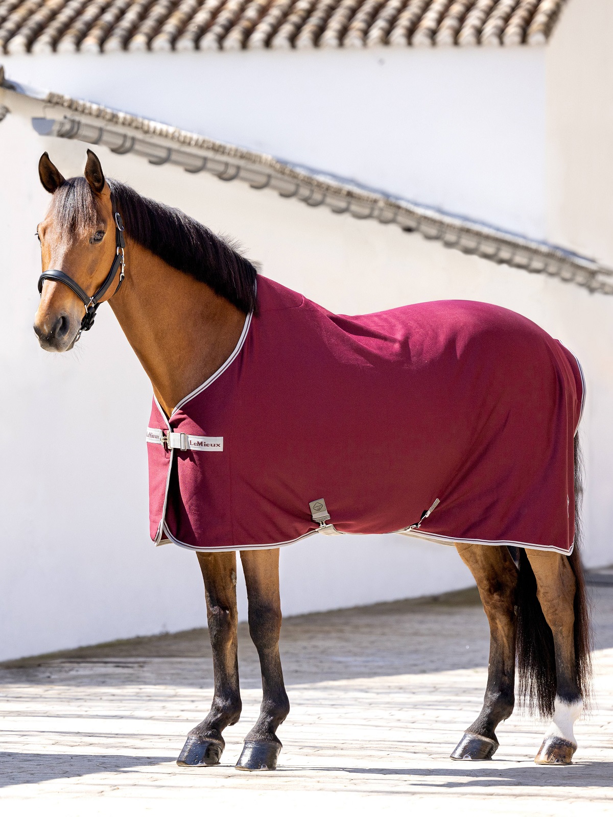 LeMieux Arika Jersey-Tek Fleece, Abschwitzdecke