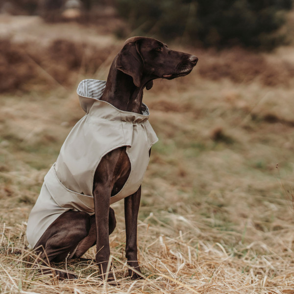 Hunter Hunde-Regenmantel Milford