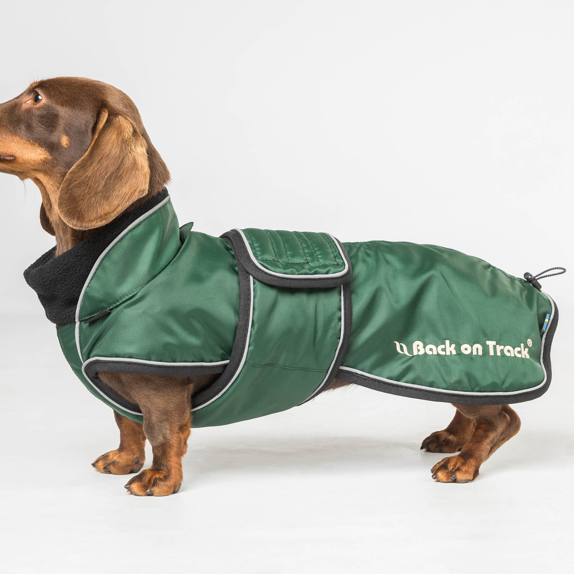 Back on Track Buddy Hundemantel