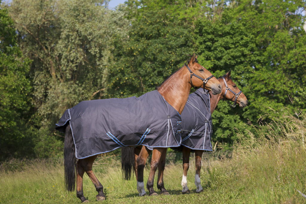 EQUITHÈME "TYREX 1200D" 8000/8000 Decke, 300g Füllung, Pferdedecke, grau/blau, Weidedecke