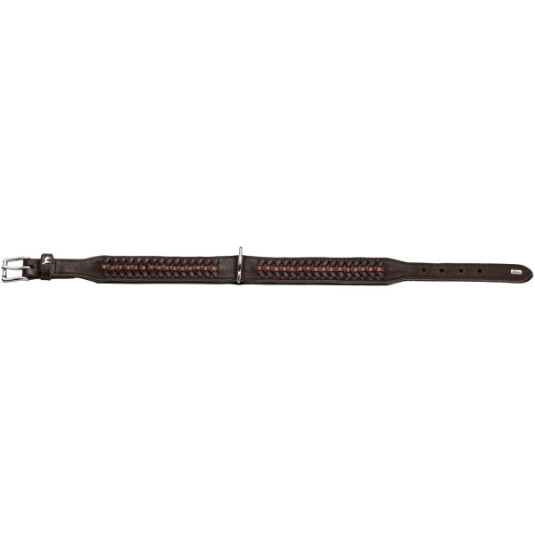 Hunter Halsband Solid Education Exclusive, dunkelbraun/schwarz
